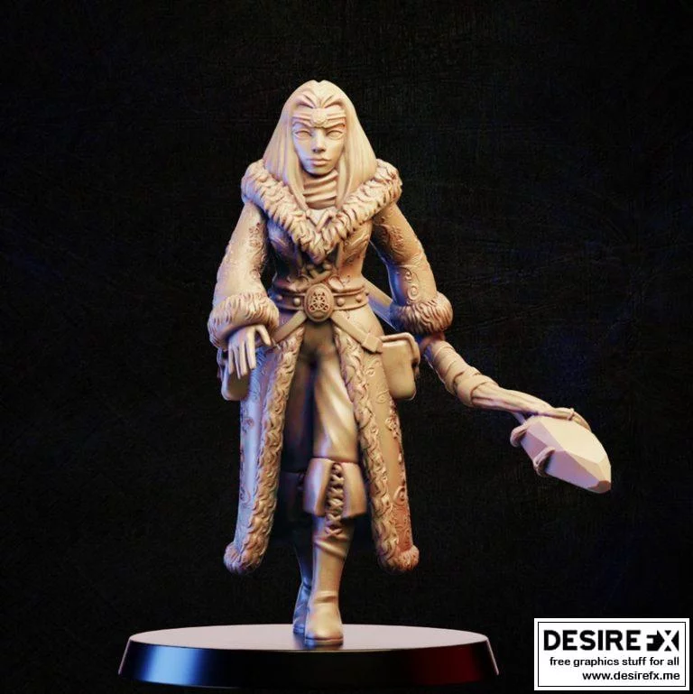 北境魔术师3D打印模型|Northern magician