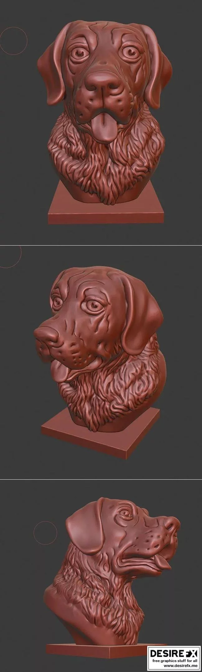 洛夫克拉夫特 恐惧之眼 3D打印模型|Labrador bust