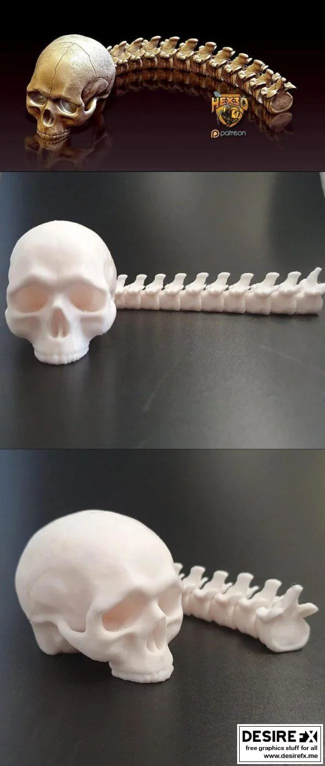 3D打印艺术模型：猎手之颅·机械猎手头骨雕塑|Articulated Predator Skull Trophy