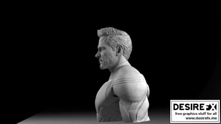 钢铁侠3D打印模型|Tony Stark Ironman Bust