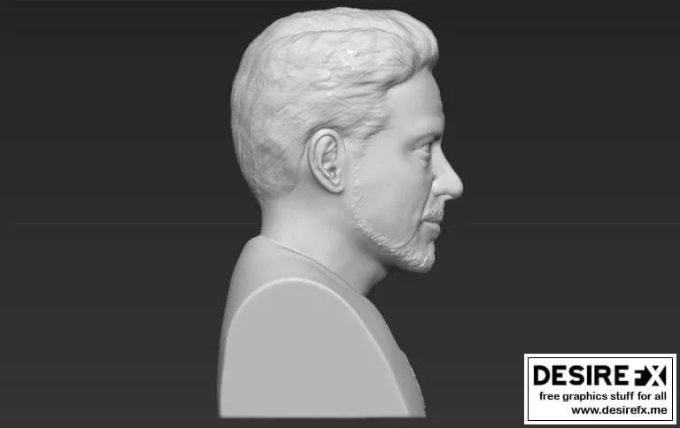 钢铁侠3D打印模型|Tony Stark Bust