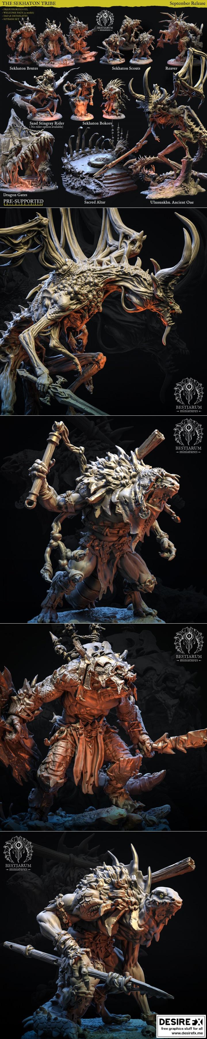 Sekhatons部落《星际迷航》3D打印模型|Sekhatons tribe