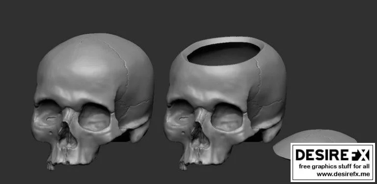 Skull Box-鬼灭之刃-蝴蝶忍|Skull Box