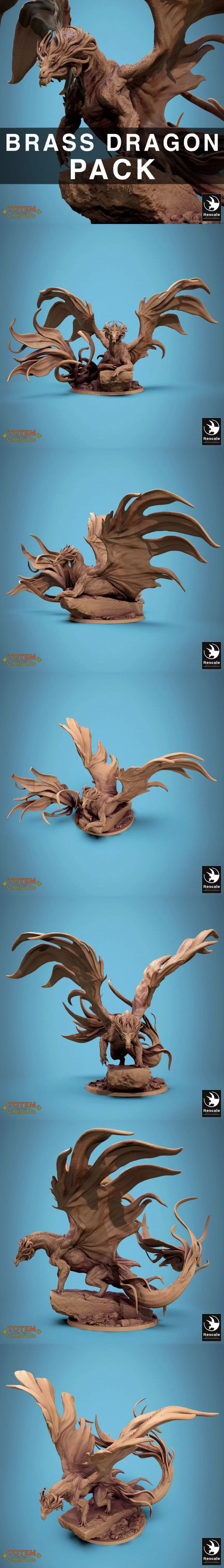 Rescale Miniatures – Metallic Brass Dragon Pack – 3D Print Model