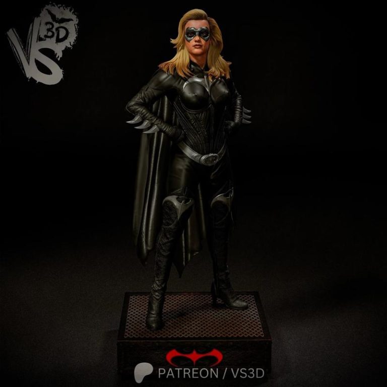 VS3D – Batgirl – Batman & Robin – 3D Print Model STL