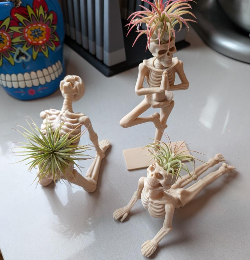 空气植物瑜伽骷髅 Part 2 - 3D打印模型|Air Plant Yoga Skeletons Part 2 – 3D Print Model STL