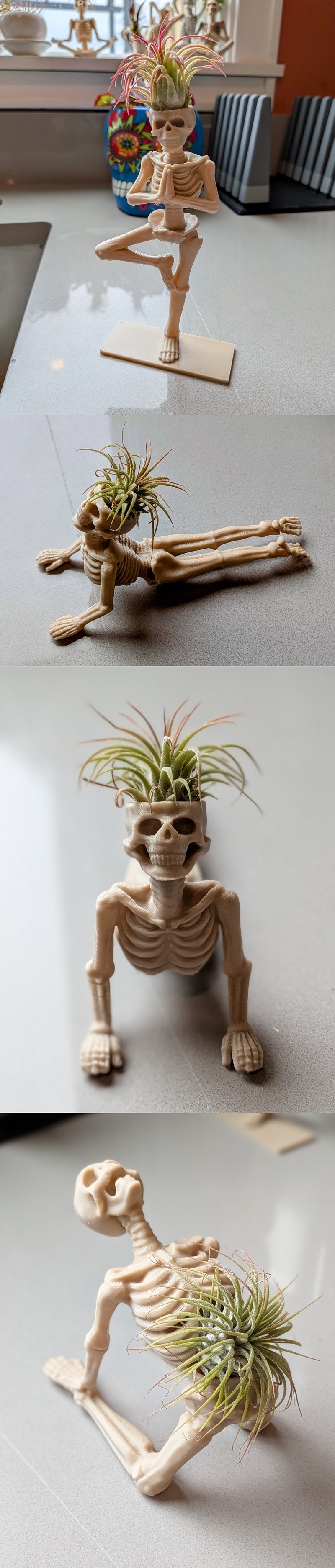 空气植物瑜伽骷髅 Part 2 - 3D打印模型|Air Plant Yoga Skeletons Part 2 – 3D Print Model STL