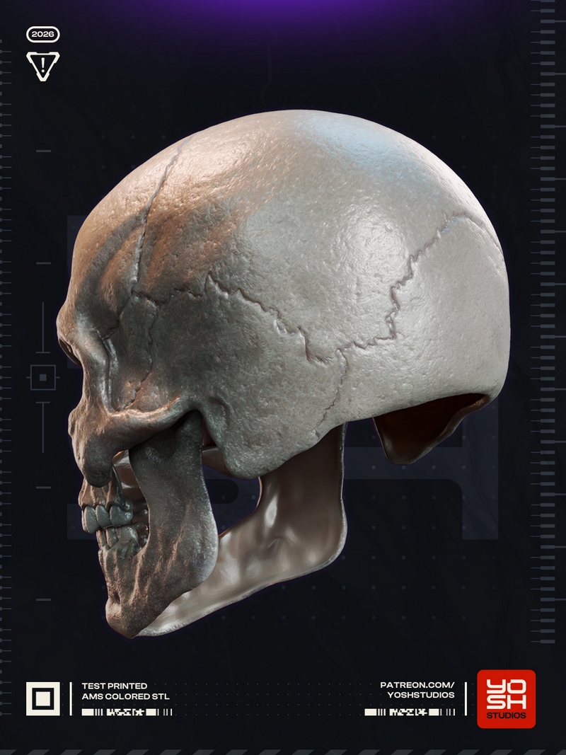 Yosh Studios - 骨头怪面具 - 3D打印模型|Yosh Studios – Skeletor Mask – 3D Print Model