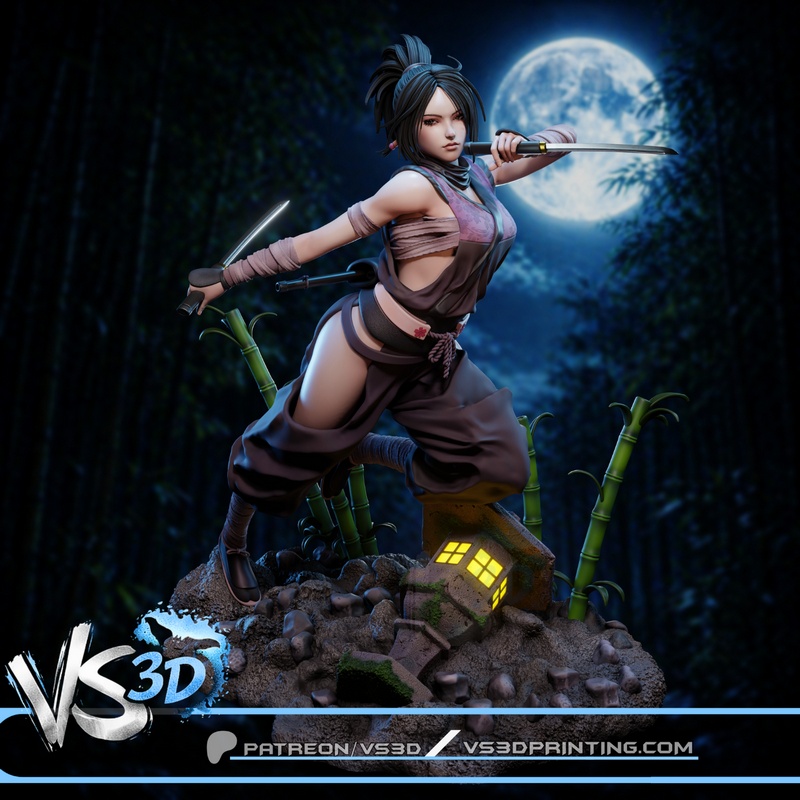 VS3D – Ayame – Tenchu Fatal Shadows-Tenchu Kurenai – 3D Print Model