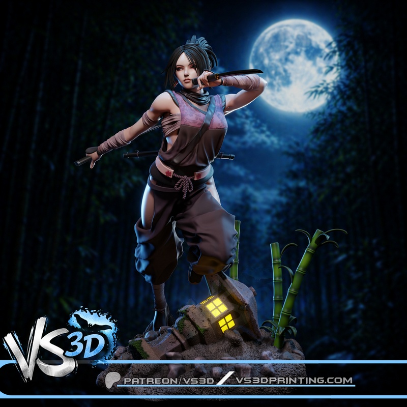 VS3D – Ayame – Tenchu Fatal Shadows-Tenchu Kurenai – 3D Print Model