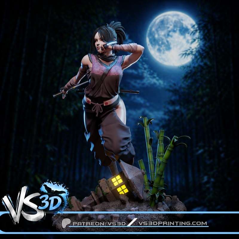 VS3D – Ayame – Tenchu Fatal Shadows-Tenchu Kurenai – 3D Print Model