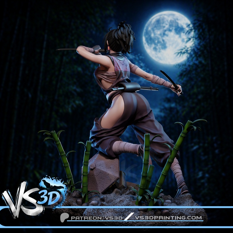 VS3D – Ayame – Tenchu Fatal Shadows-Tenchu Kurenai – 3D Print Model