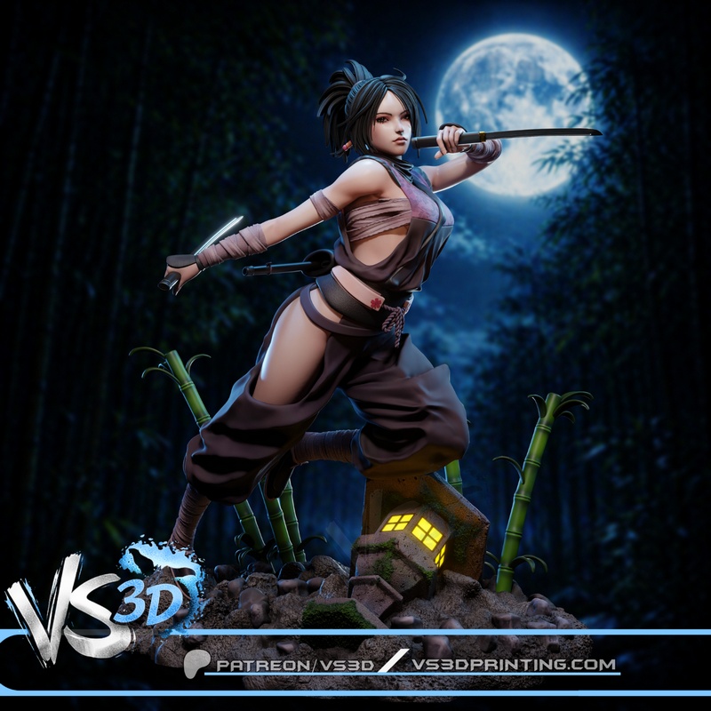 VS3D – Ayame – Tenchu Fatal Shadows-Tenchu Kurenai – 3D Print Model