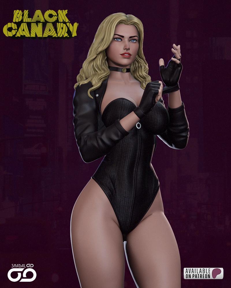 Shadaloo Studios - 黑金丝 - 3D打印模型|Shadaloo Studios – Black Canary – 3D Print Model STL