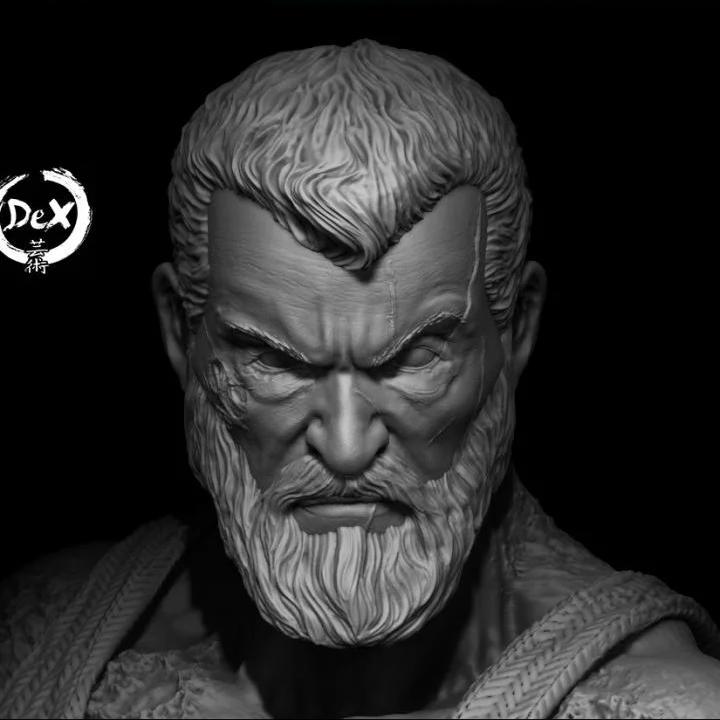 老约翰·罗兰德 3D打印模型|Old Man Logan – 3D Print Model