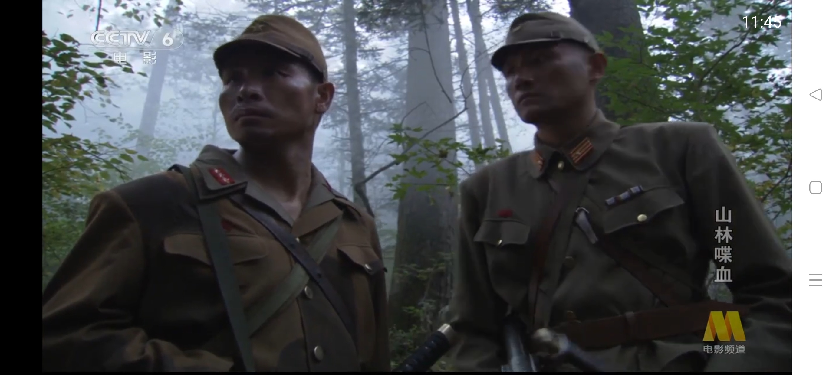简单IPTV|最新纯净破解激活版免费下载