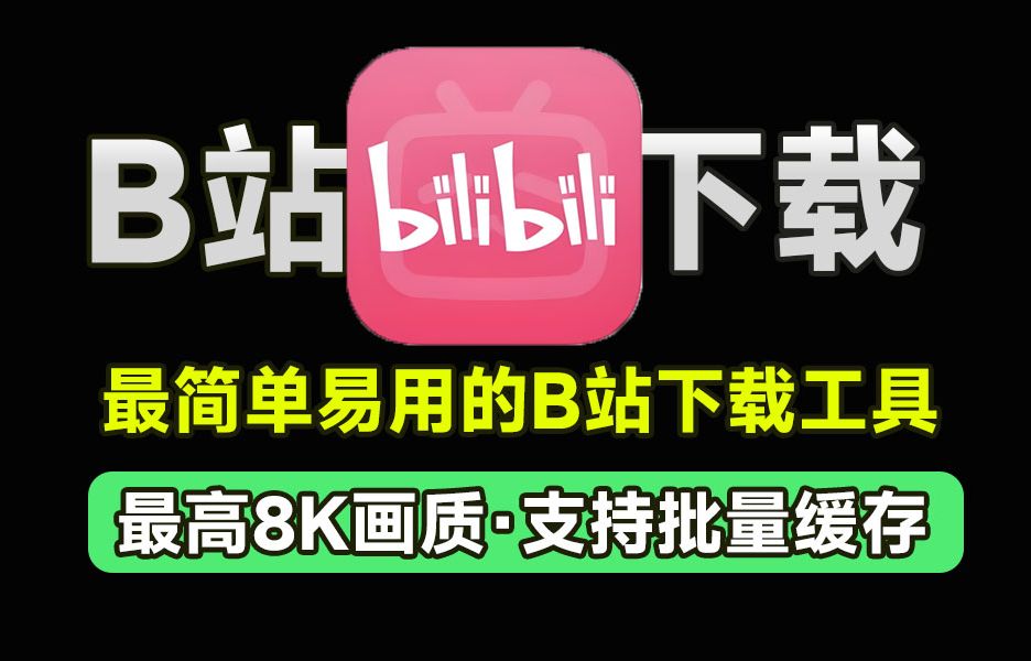 bilidown Setup|最新纯净破解激活版免费下载