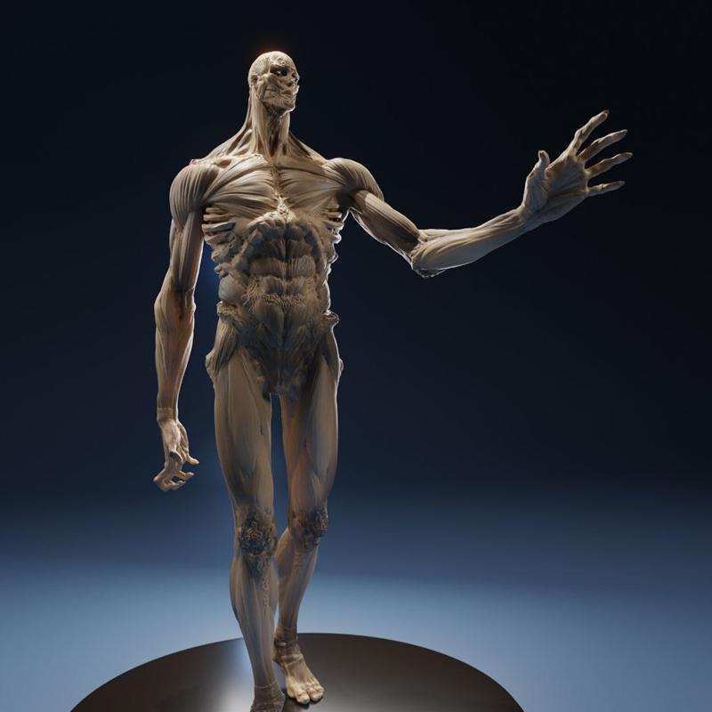 Armin Colossal Titan – Fran Lima – 3D Print Model STL