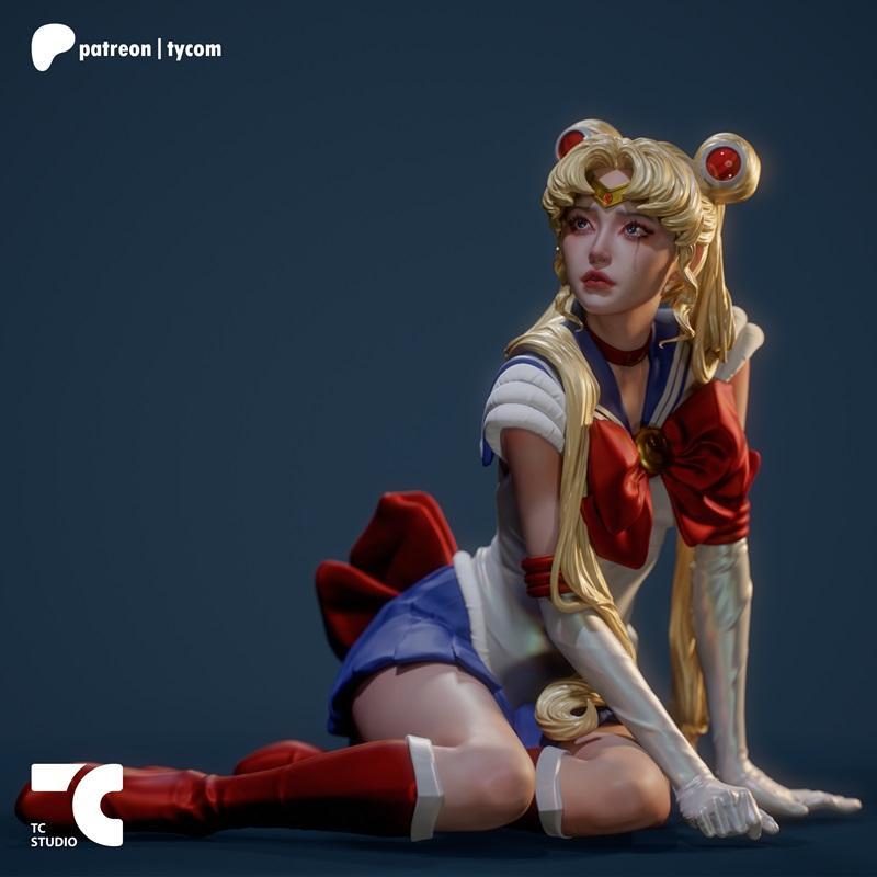Sailor Moon 3D打印模型|TC Random Collectibles – Sailor Moon – 3D Print Model STL