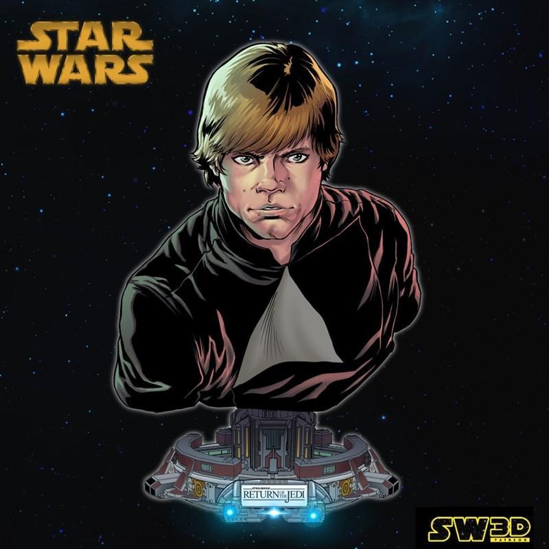SW3D - 哈里森·卢克·天行者雕塑 - 3D打印模型|SW3D – Luke Skywalker Bust – 3D Print Model STL