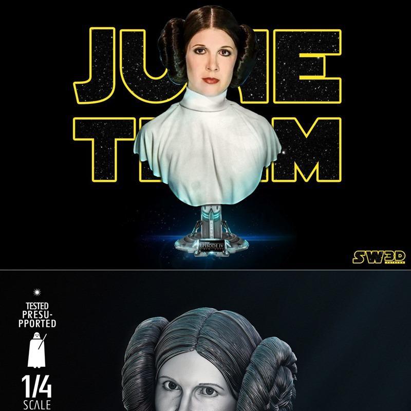 SW3D - 利亚雕像模型 - 3D打印雕塑|SW3D – Leia Portrait Bust – 3D Print Model STL