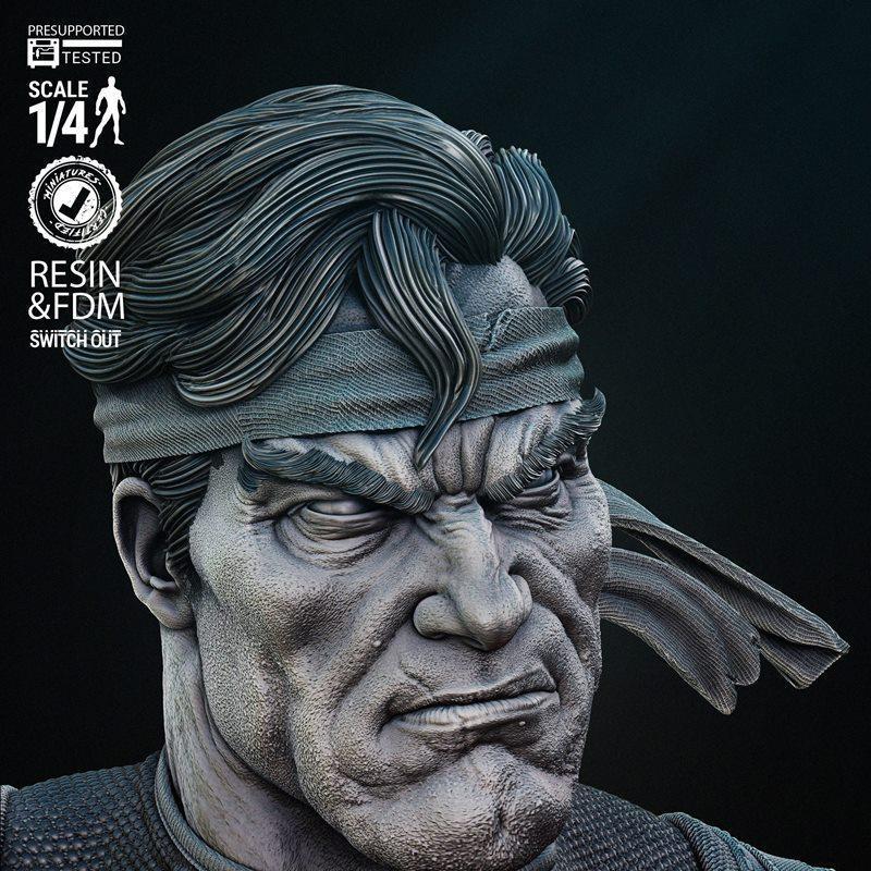Wicked - 惩罚者 - 3D打印模型|Wicked – Punisher Bust – 3D Print Model STL