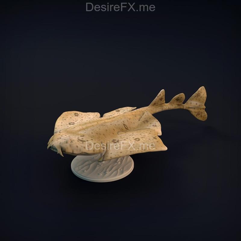 天使鲨 3D打印模型|Angel Shark – 3D Print Model STL