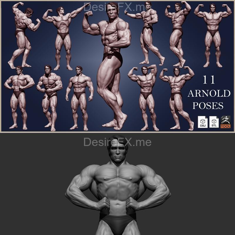 阿诺德·施瓦辛格 3D打印模型 STL|Arnold Schwarzeneg – 3D Print Model STL