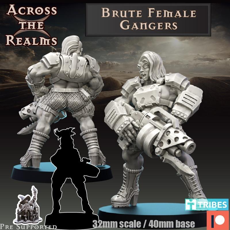 跨域之战——女战士机械体 3D打印模型|Across the Realms – Brute Female Gangers – 3D Print Model STL