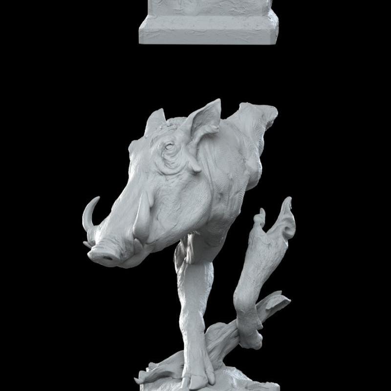 萨凡纳草原战野猪 3D打印模型|Savanna Bust Warthog – 3D Print Model STL