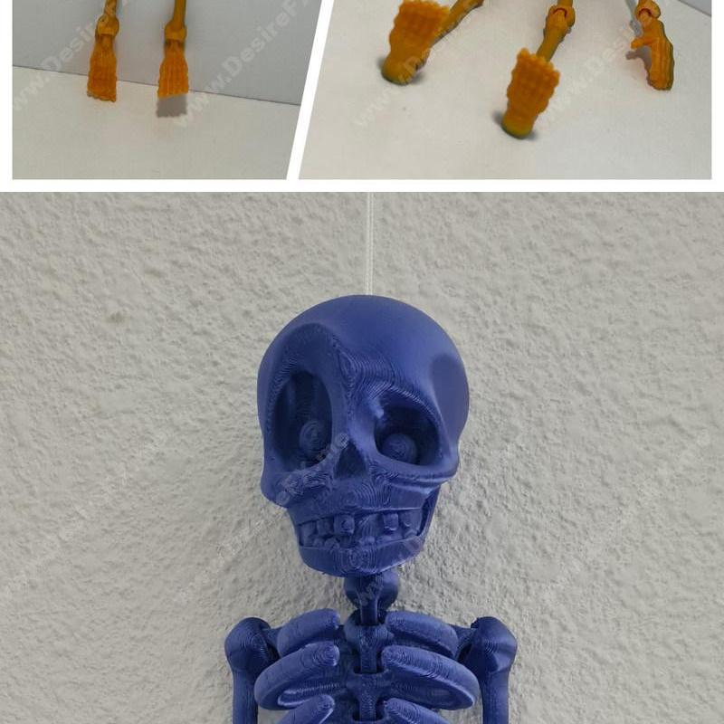 Flexi骨架 - 3D打印模型|Flexi Skeleton – 3D Print Model