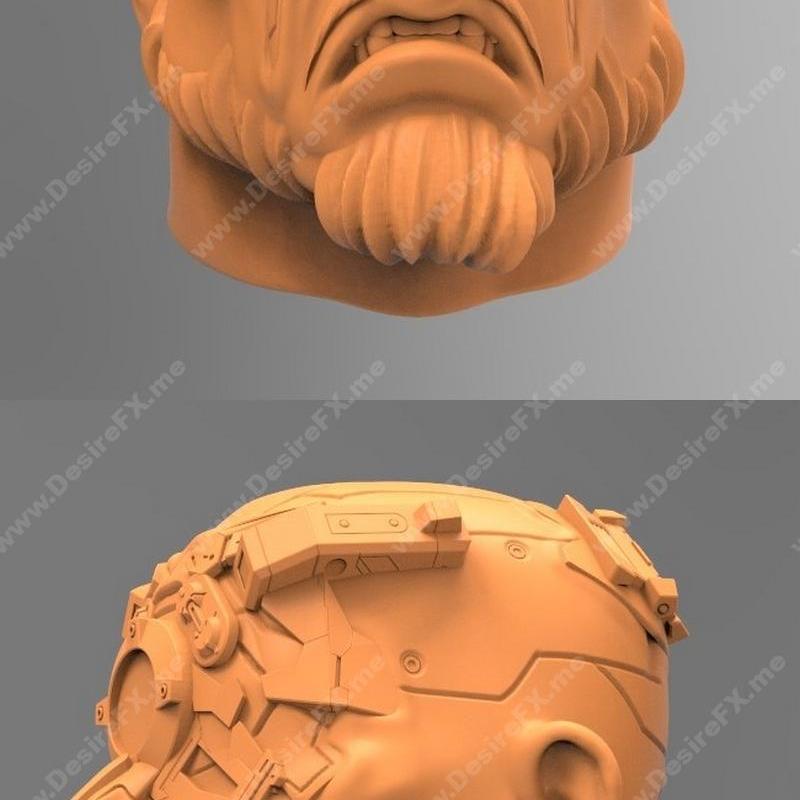 Royce Head - 魔暴团前首领 - 3D打印模型|Royce Head – Maelstorm Gang Former Leader – 3D Print Model STL