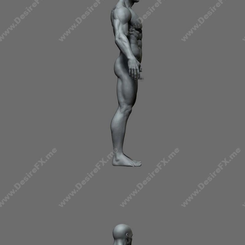 3D打印男体模型：动漫游戏角色精细还原|Male Anatomy Model