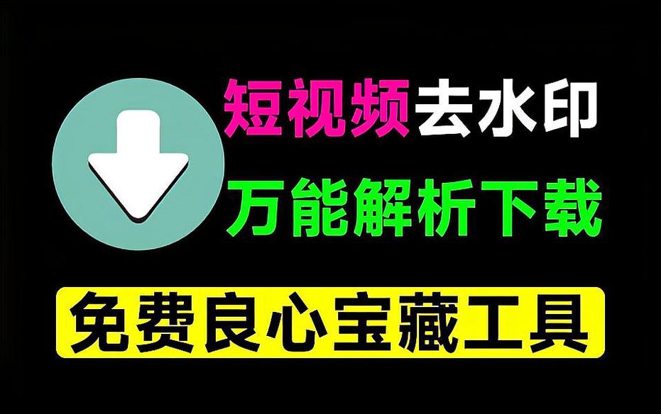 去水印视频解析|最新纯净破解激活版免费下载