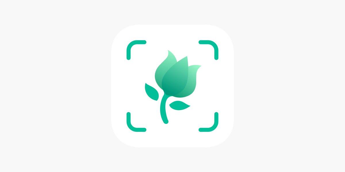 Picture this植物识|最新纯净破解激活版免费下载