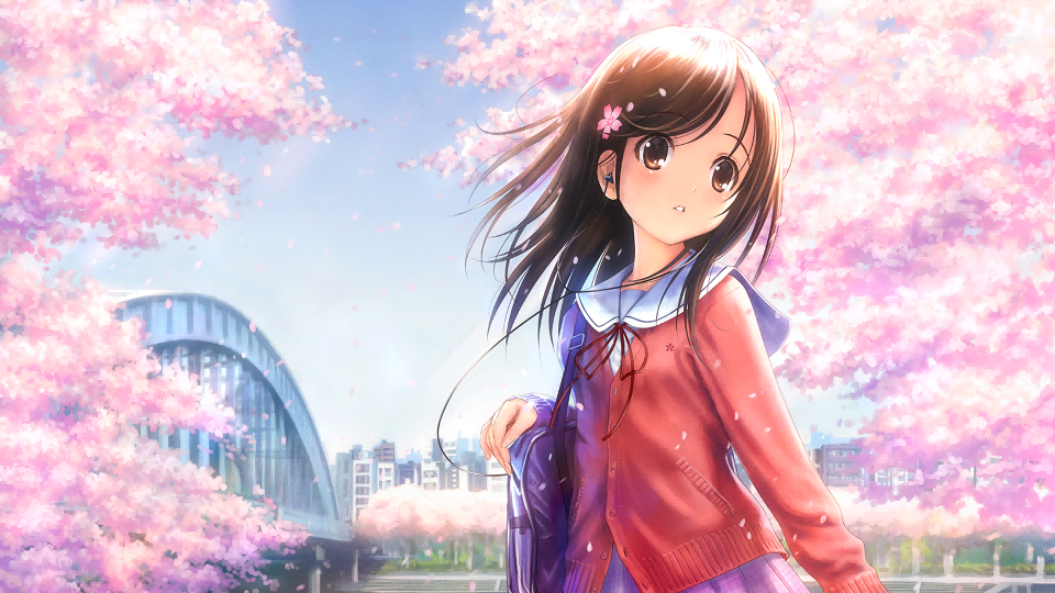 卡片和枪|航海奇闻最新版官方中文免费下载